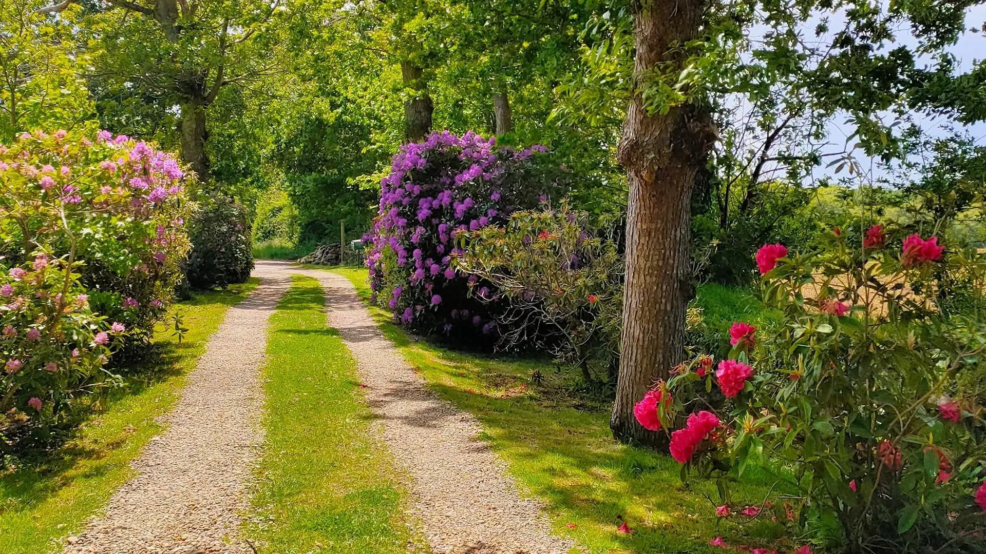 *** Bed & Breakfast La Ferme De Kerraoul Bed and Breakfast Combrit Frankrijk