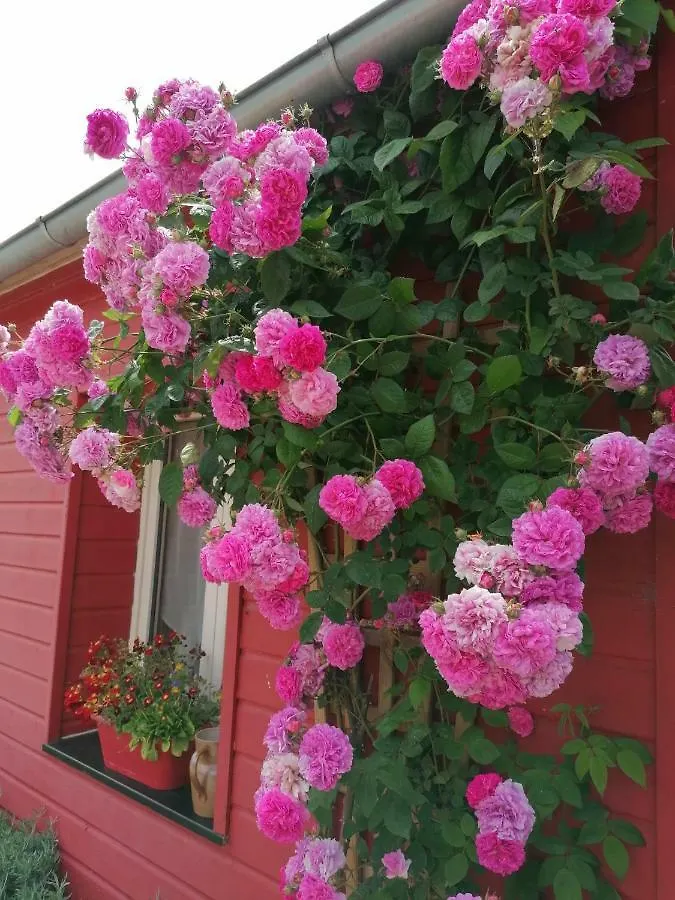 La Ferme De Kerraoul Bed and Breakfast Combrit Frankrijk